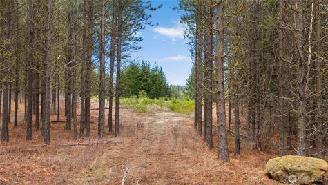 191 White Star Lane Cle Elum WA 98922