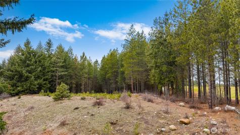 191 White Star Lane Cle Elum WA 98922