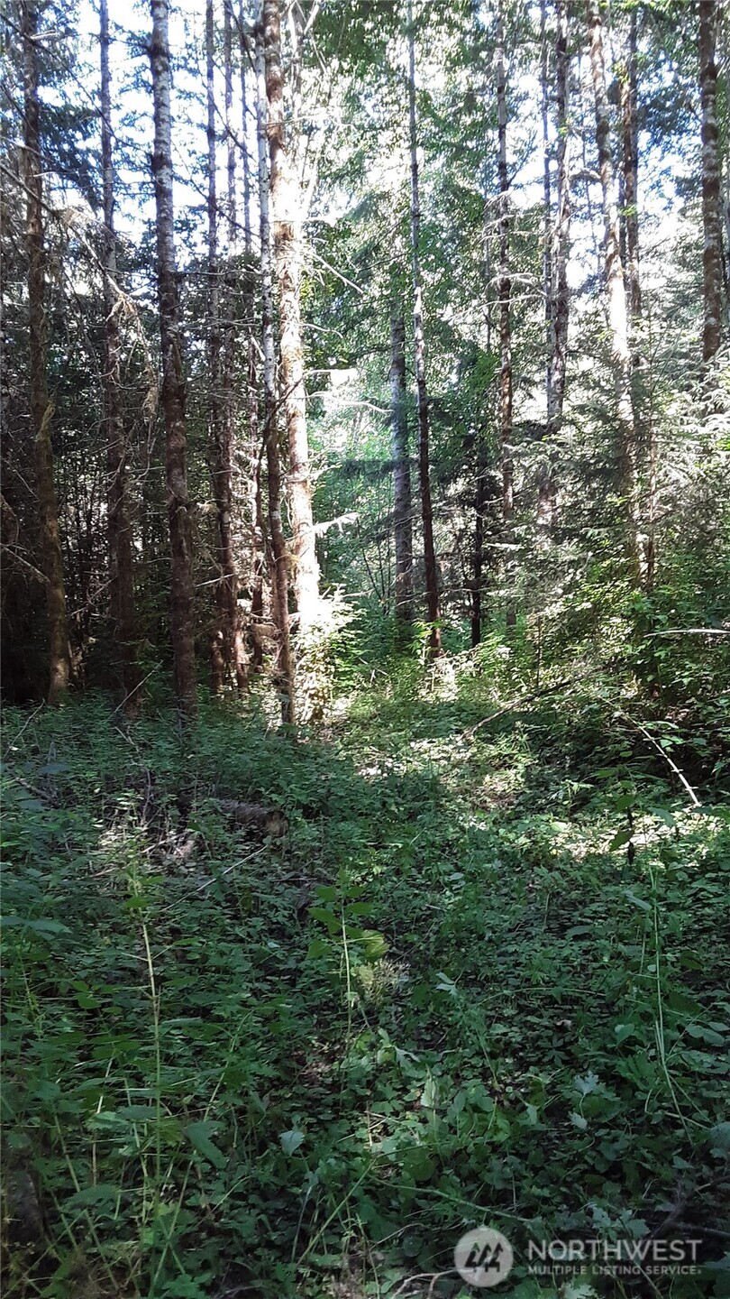0 Us-101 Port Angeles WA 98363