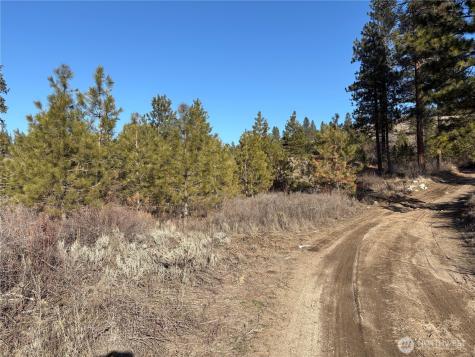 1 Tbd Valley View Drive Oroville WA 98844