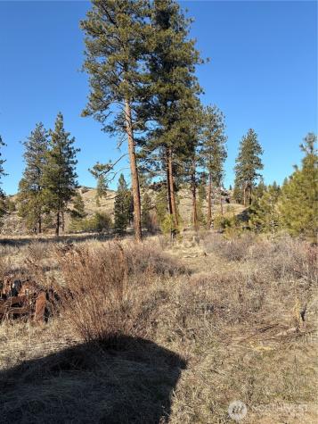 1 Tbd Valley View Drive Oroville WA 98844