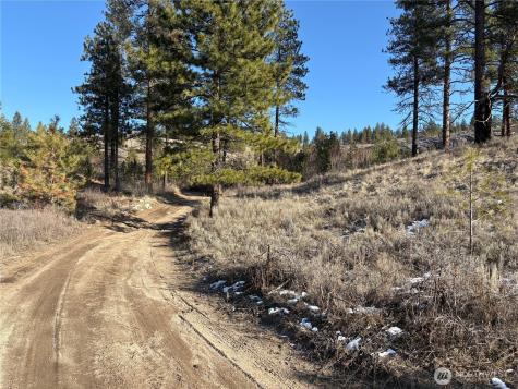 1 Tbd Valley View Drive Oroville WA 98844