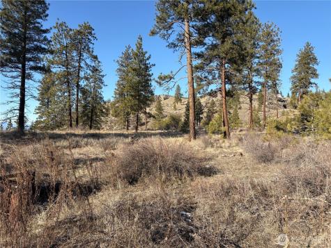 1 Tbd Valley View Drive Oroville WA 98844