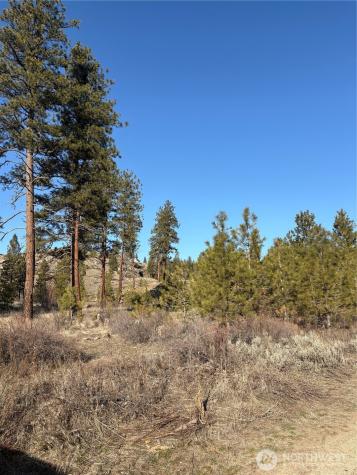 1 Tbd Valley View Drive Oroville WA 98844