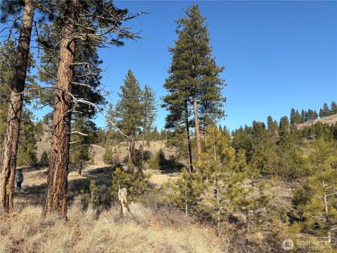 1 Tbd Valley View Drive Oroville WA 98844