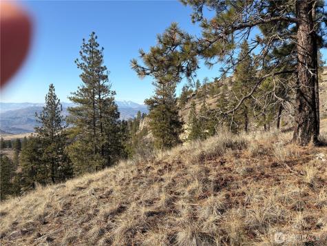 1 Tbd Valley View Drive Oroville WA 98844