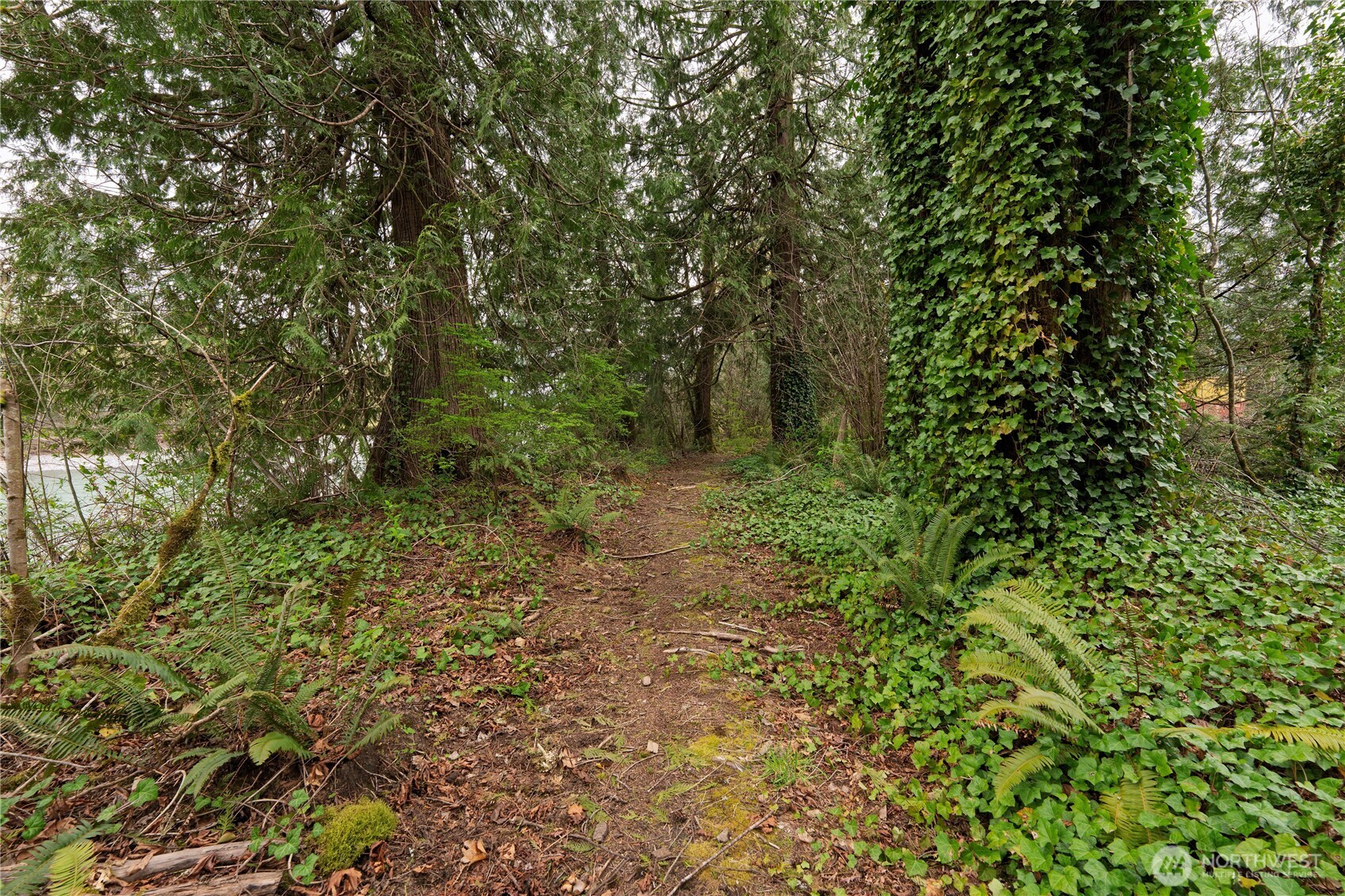 1206 Croft Avenue Gold Bar WA 98251