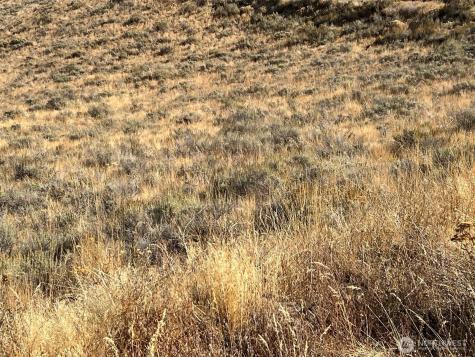 0 Mountain Spring Road Orondo WA 98843
