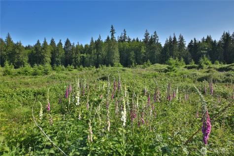 2062 Goodell Road Freeland WA 98249
