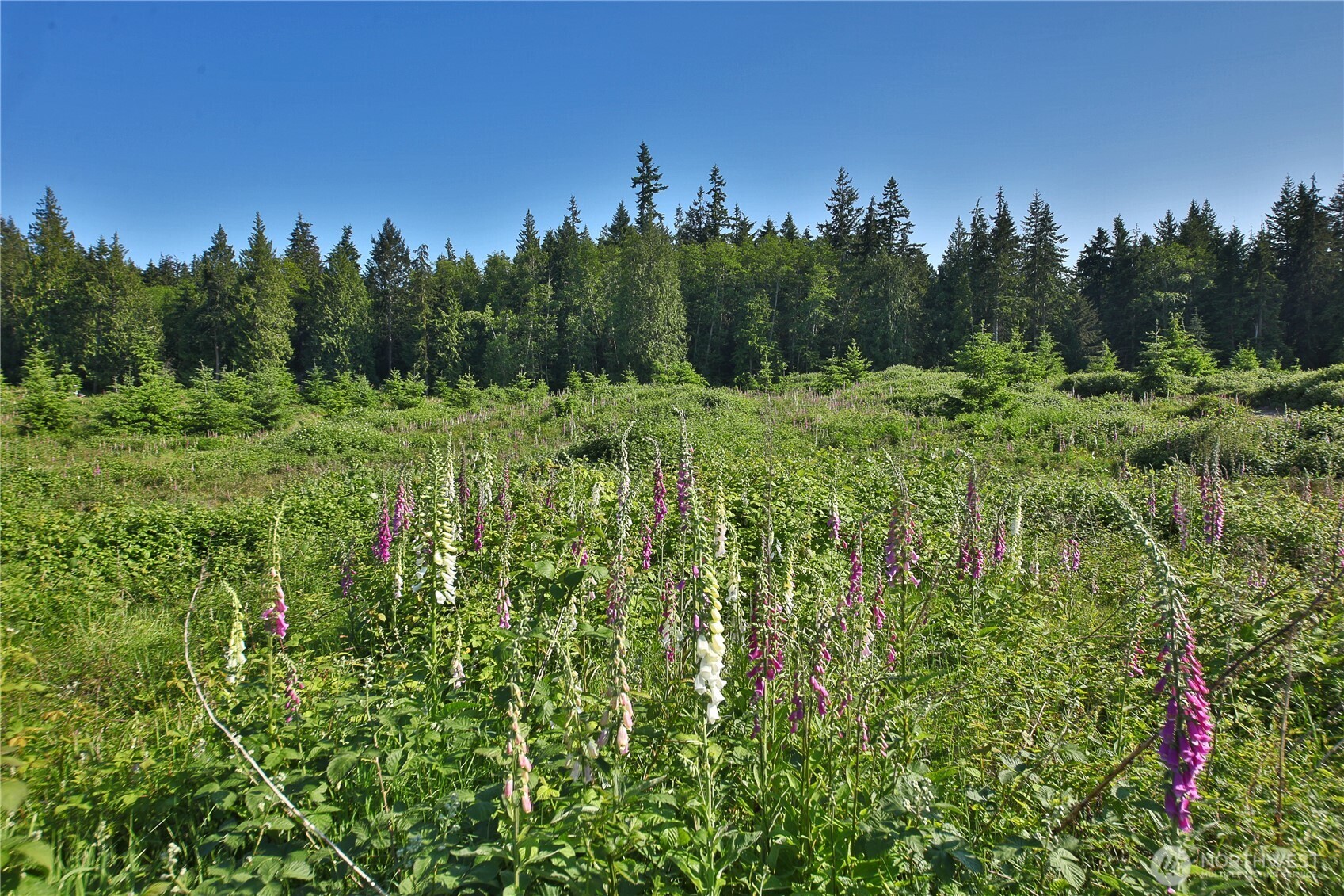 2062 Goodell Road Freeland WA 98249