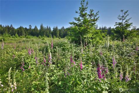 2062 Goodell Road Freeland WA 98249