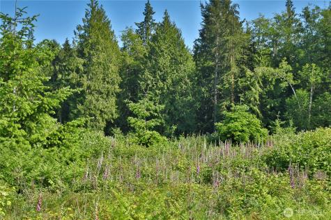 2062 Goodell Road Freeland WA 98249