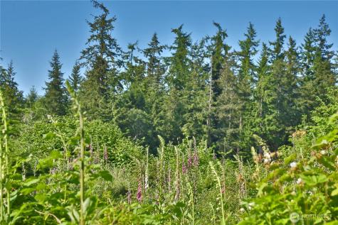 2062 Goodell Road Freeland WA 98249