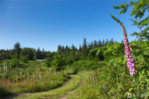 2062 Goodell Road Freeland WA 98249