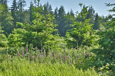 2062 Goodell Road Freeland WA 98249