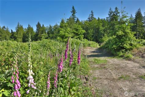 2062 Goodell Road Freeland WA 98249