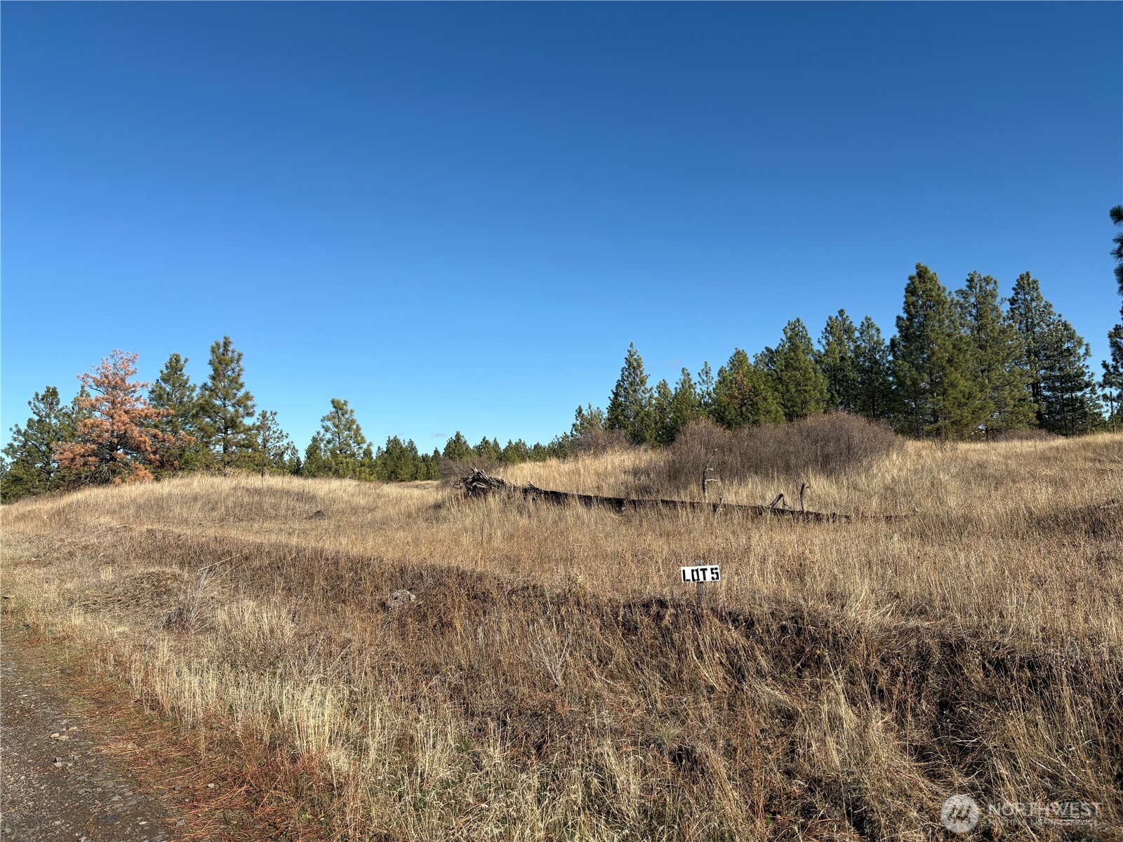 35390 Prairie Lane N Creston WA 99117