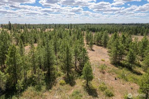 35390 Prairie Lane N Creston WA 99117