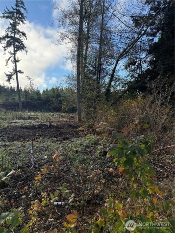 1454 Admirals Drive Coupeville WA 98239