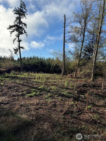 1454 Admirals Drive Coupeville WA 98239