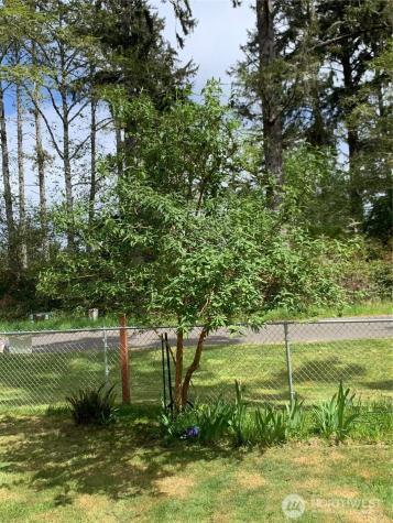 783 Evergreen Avenue SE Ocean Shores WA 98569