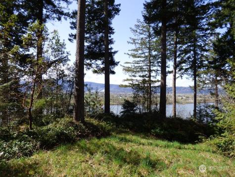 0 Riverside East (6441) Road #6441 Cathlamet WA 98612