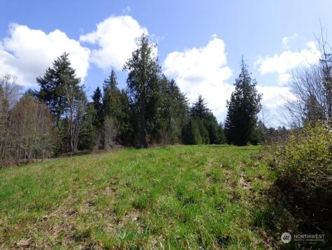 0 Riverside East (6441) Road #6441 Cathlamet WA 98612