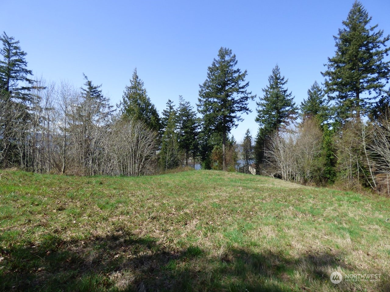0 Riverside East (6441) Road #6441 Cathlamet WA 98612
