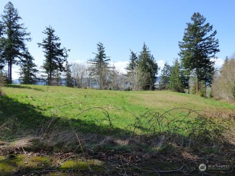 0 Riverside East (6441) Road #6441 Cathlamet WA 98612