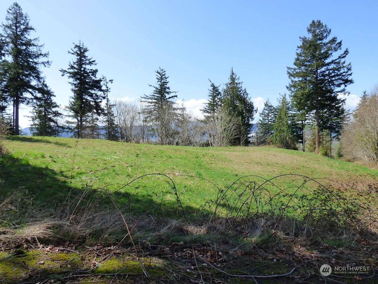 0 Riverside East (6441) Road #6441 Cathlamet WA 98612