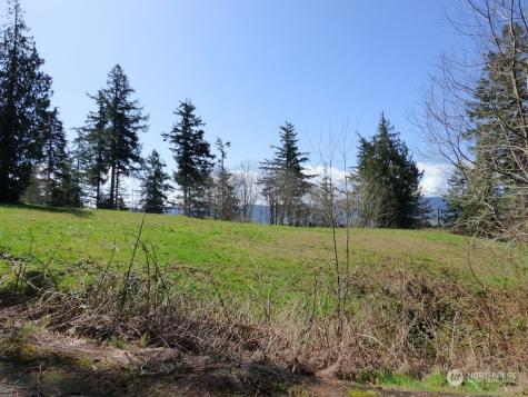 0 Riverside East (6441) Road #6441 Cathlamet WA 98612