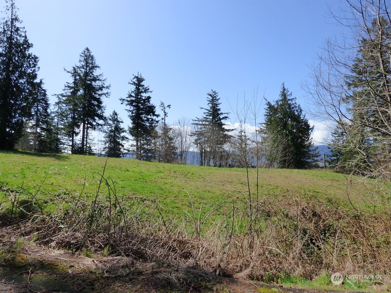 0 Riverside East (6441) Road #6441 Cathlamet WA 98612