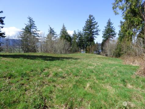 0 Riverside East (6441) Road #6441 Cathlamet WA 98612
