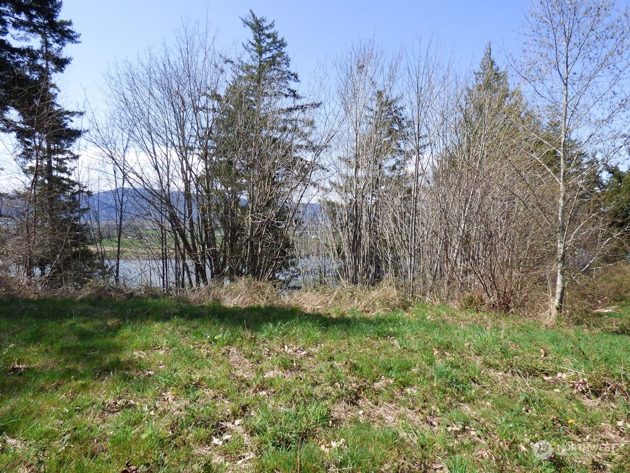 0 Riverside East (6441) Road #6441 Cathlamet WA 98612