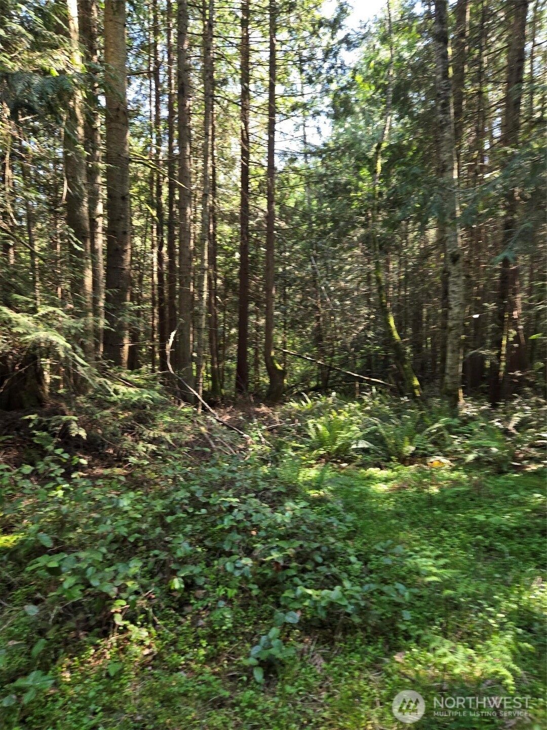 146 Humble Hill Road Sequim WA 98382