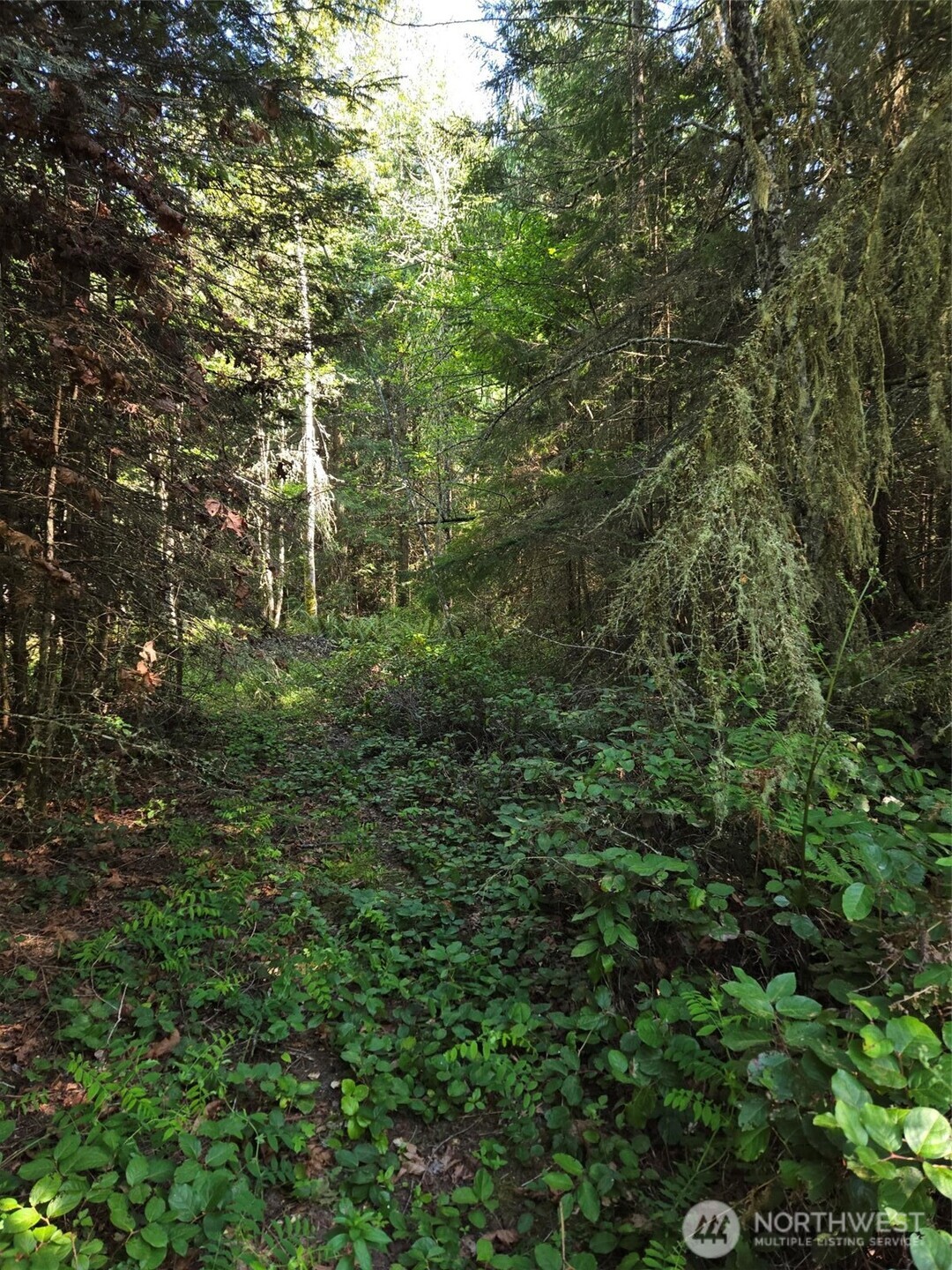 146 Humble Hill Road Sequim WA 98382