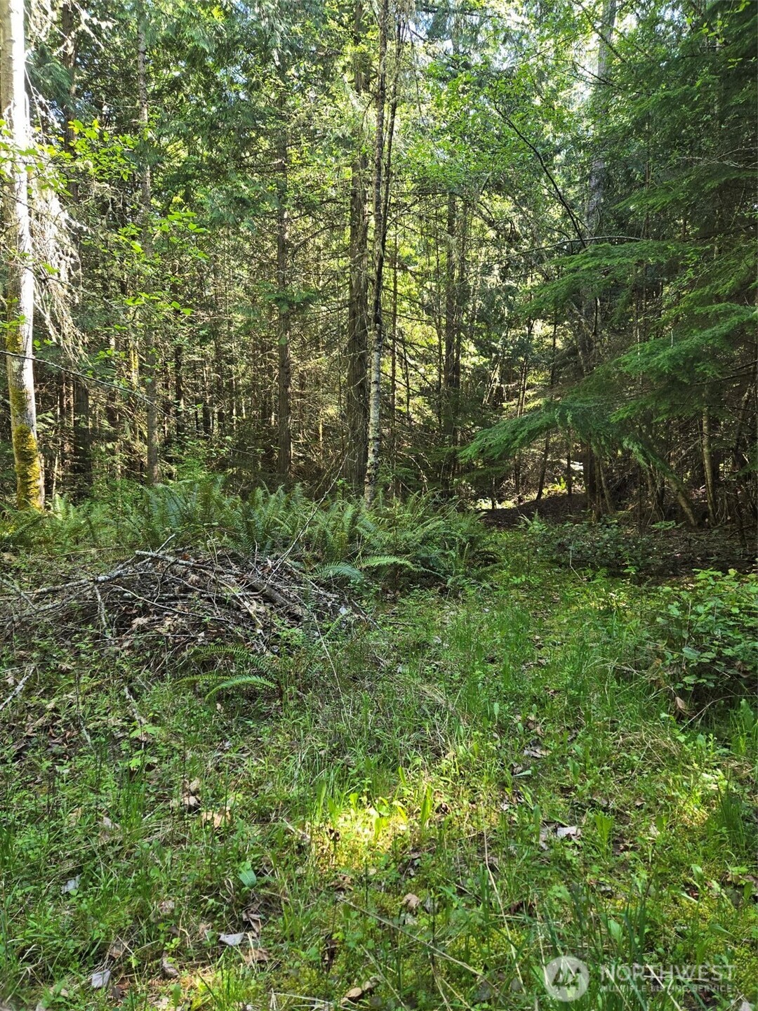 146 Humble Hill Road Sequim WA 98382