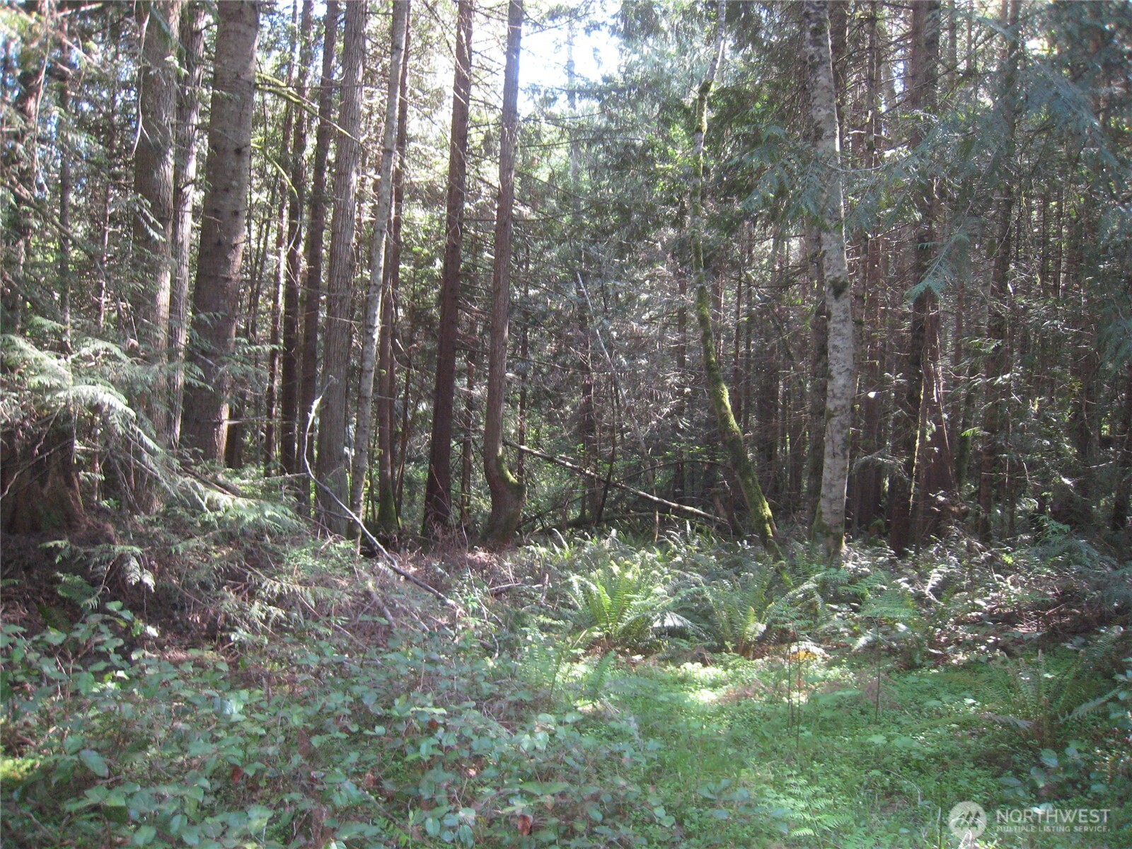 146 Humble Hill Road Sequim WA 98382