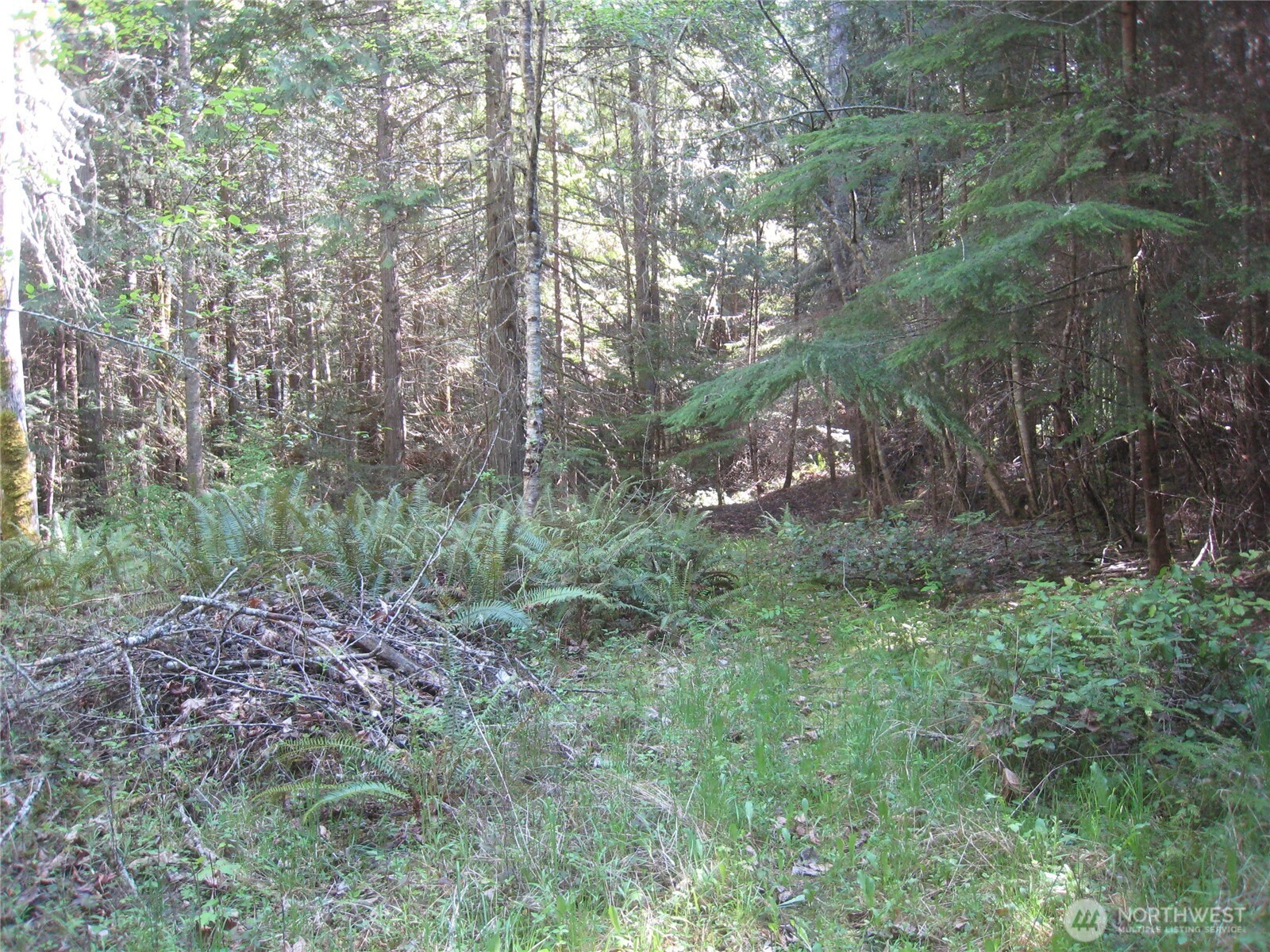 146 Humble Hill Road Sequim WA 98382