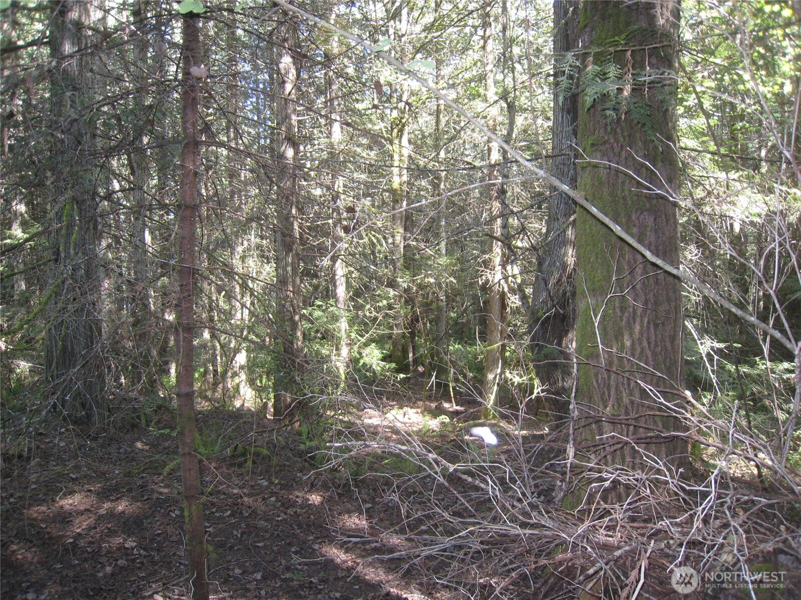 146 Humble Hill Road Sequim WA 98382