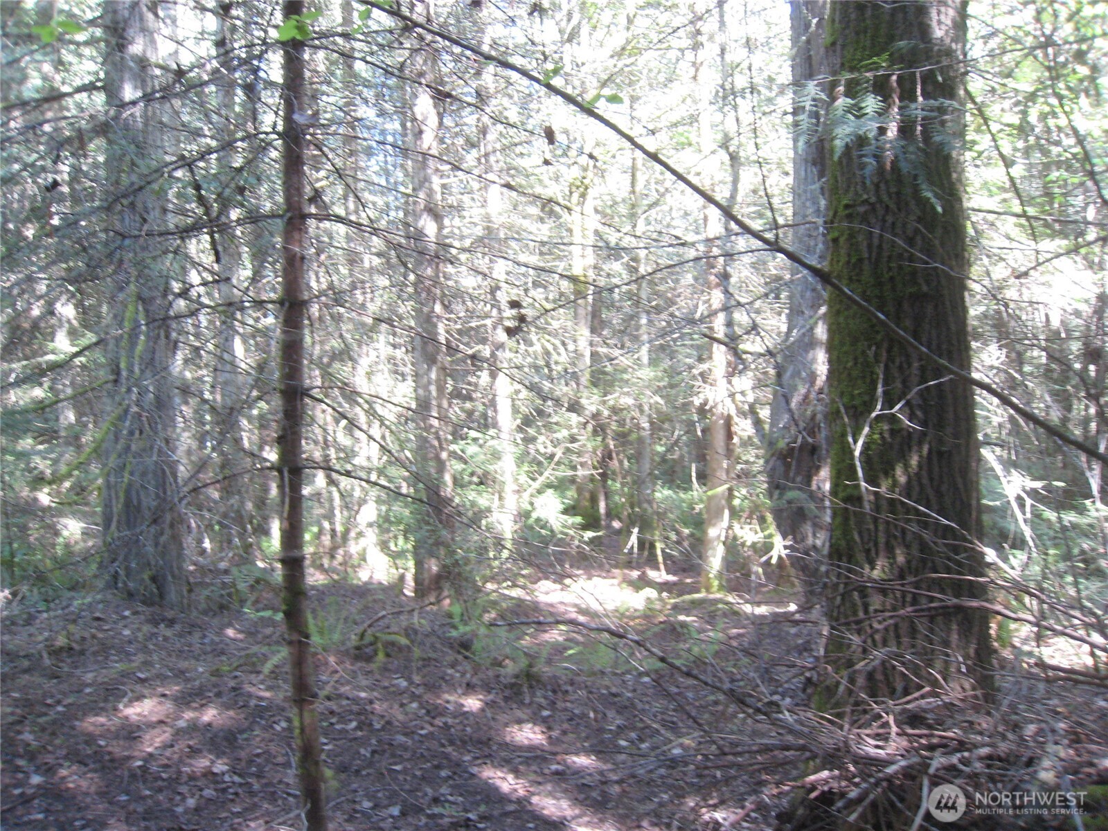 146 Humble Hill Road Sequim WA 98382