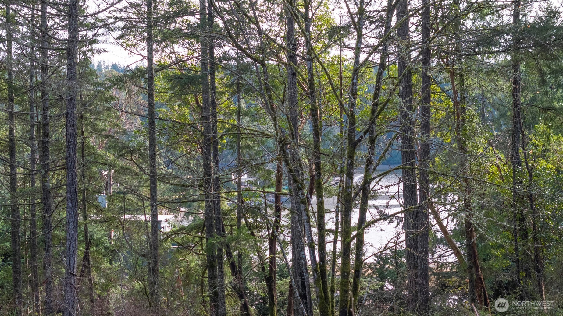 11515 189th Court NW Gig Harbor WA 98329