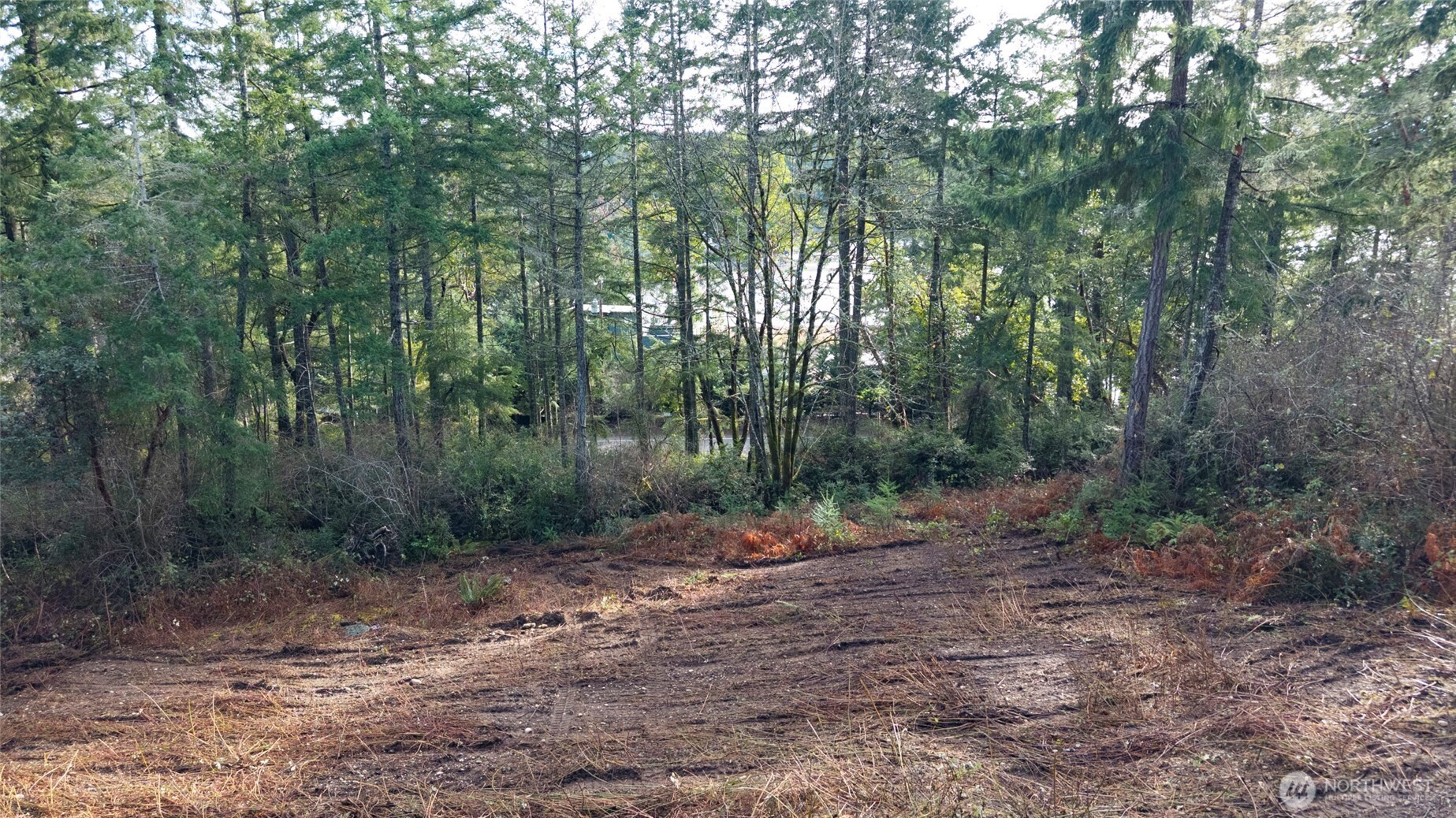 11515 189th Court NW Gig Harbor WA 98329