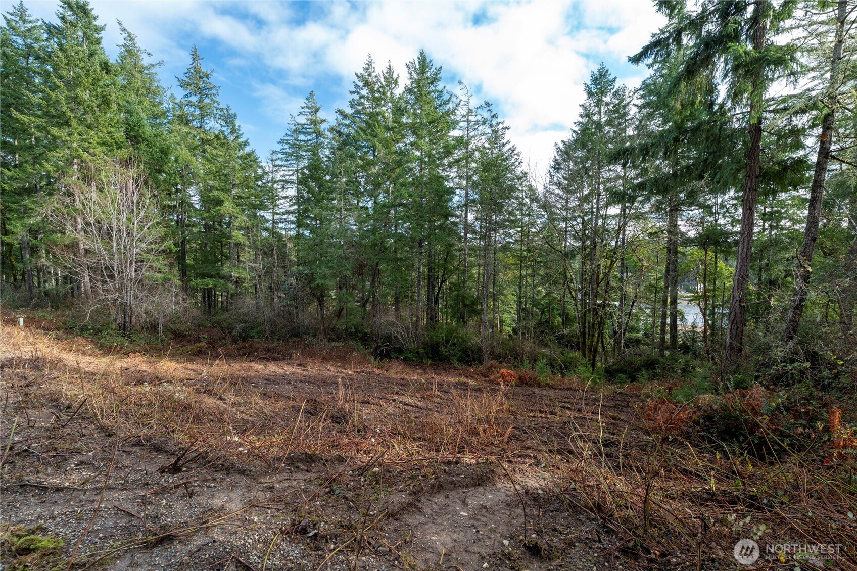 11515 189th Court NW Gig Harbor WA 98329