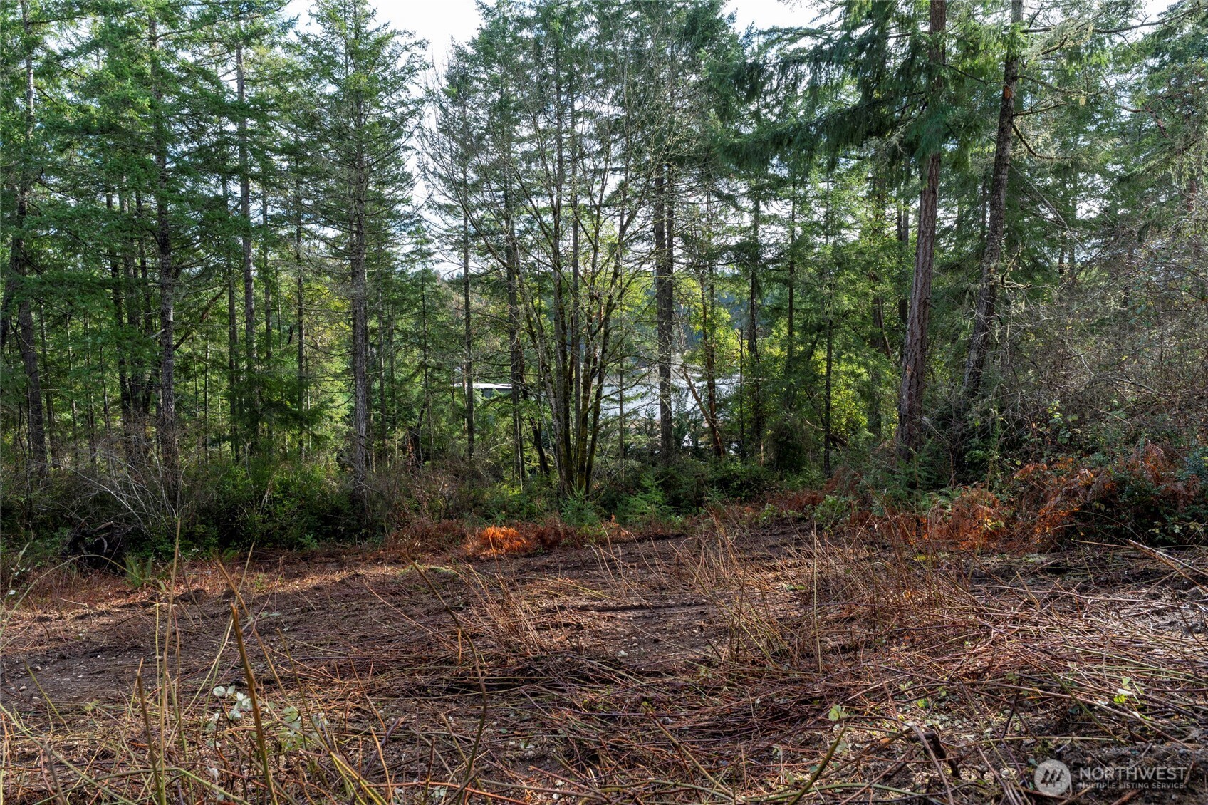11515 189th Court NW Gig Harbor WA 98329