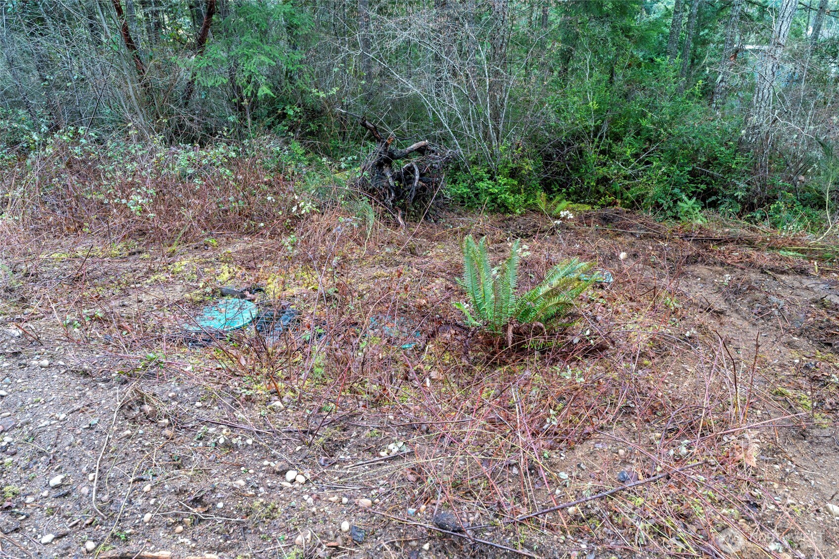 11515 189th Court NW Gig Harbor WA 98329