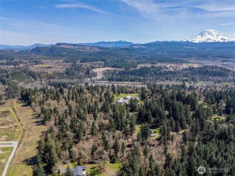 0 243rd Street E Graham WA 98338