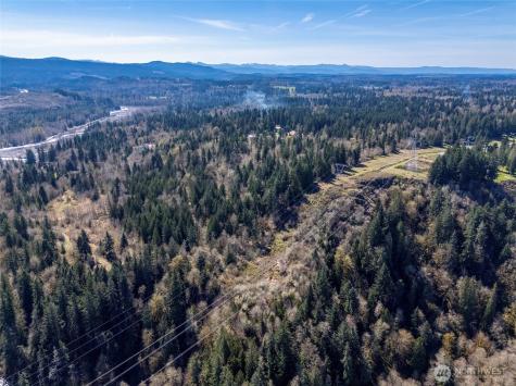 0 243rd Street E Graham WA 98338