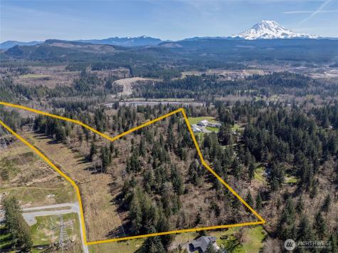 0 243rd Street E Graham WA 98338