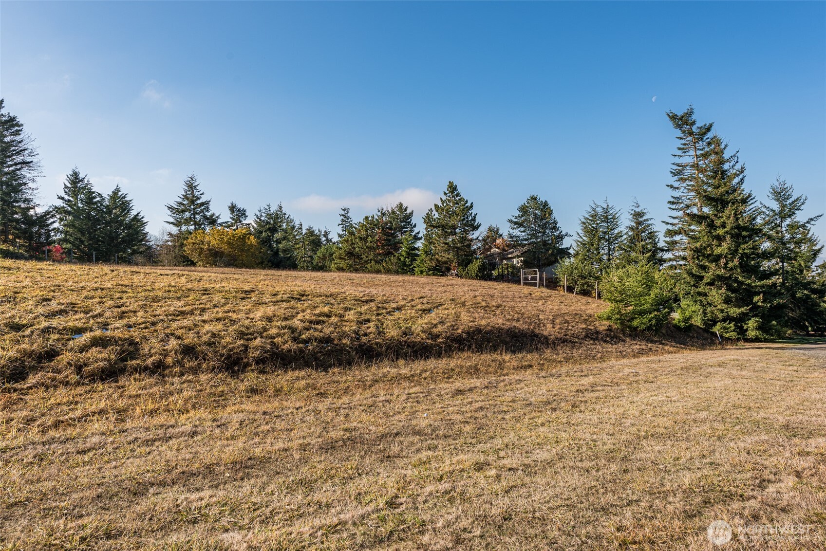 9999 Doe Run Road Sequim WA 98382